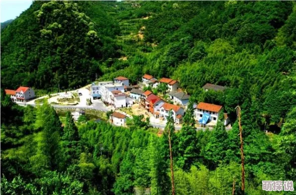 碧蓝档案：揭秘黑白子的神秘身份与未知力量之旅