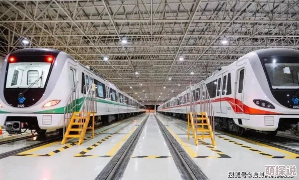 深圳租房小雯康健：最新进展揭示租赁市场变化与居民生活质量提升的关系