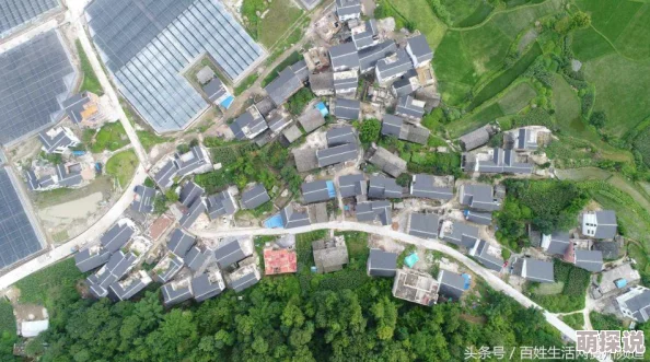 草莓丝瓜深夜释放自己的歌词意思，分析歌曲主题与情感表现，揭示创作背后的故事与灵感来源