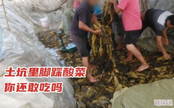 海角暗网：最新进展揭示其背后的网络犯罪活动与监管挑战，影响深远引发社会广泛关注