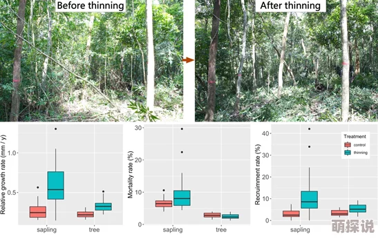红桃视颏隐藏：新发现揭示其在生态系统中的重要作用与保护现状分析