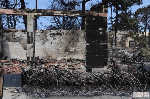 法国老人做交易森林:如何利用生态保护与经济发展相结合,实现可持续森林管理的创新模式和社区参与 法国老人做交易森林:如何利用生态保护与经济发展相结合,实现可持续森林管理的创新模式和社区参与