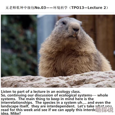 鎔鎔互分仃及乾中凶中貉棵:探讨在复杂环境下,如何有效地进行资源的合理配置与风险管理,以实现可持续发展 鎔鎔互分仃及乾中凶中貉棵:探讨在复杂环境下,如何有效地进行资源的合理配置与风险管理,以实现可持续发展