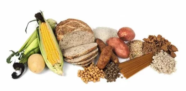 小南吃长门胡萝卜，体验新鲜口感与健康营养的完美结合，分享独特的烹饪技巧和食用心得