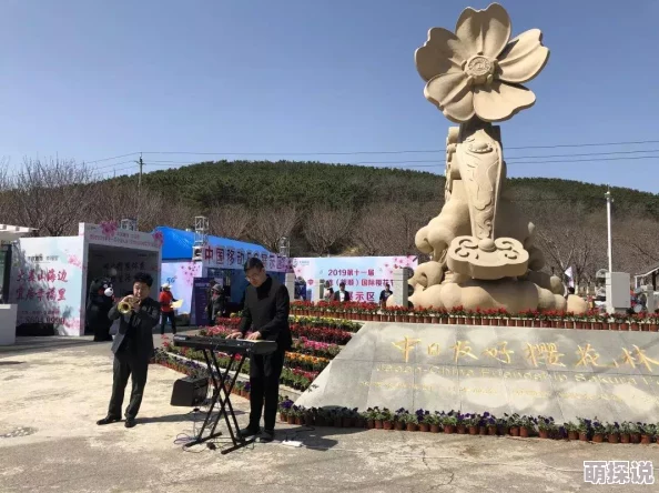 欧美v日韩：全面解析两大文化市场在音乐、电影、时尚等领域的影响力与差异构成