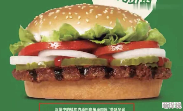 不打烊吃瓜曝光：揭示娱乐圈背后的秘密与真相，深度剖析明星生活的另一面与公众关注的热点事件