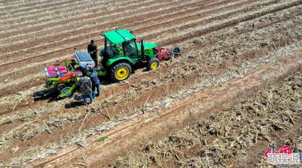 黑土本子! 通过对黑土地的保护与利用，推动可持续农业发展的实践与思考