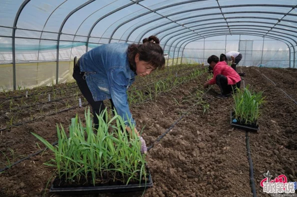黑土本子! 通过对黑土地的保护与利用，推动可持续农业发展的实践与思考