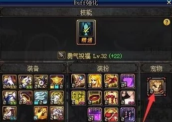 DNF游戏中优选奶宠指南：全面对比，哪个宠物辅助效果更佳？