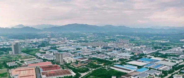 99精产三产：推动产业升级，助力经济高质量发展新动向与最新政策解读