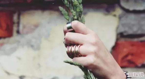 在激情与坚持的交织中，体验使劲别停带来的无尽快感与畅快淋漓的生活乐趣