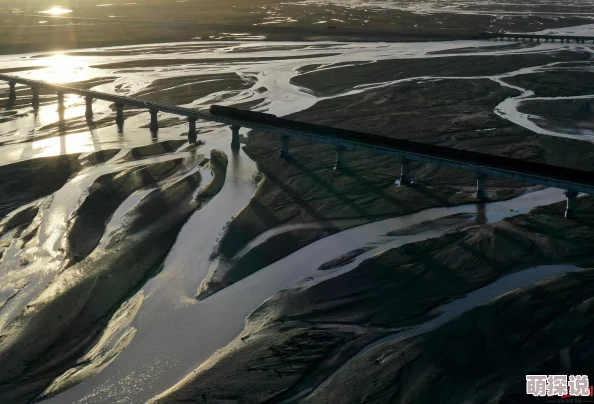 晨曦列车全角色精美立绘图鉴一览:解锁每位角色的独特魅力 晨曦列车全角色精美立绘图鉴一览:解锁每位角色的独特魅力