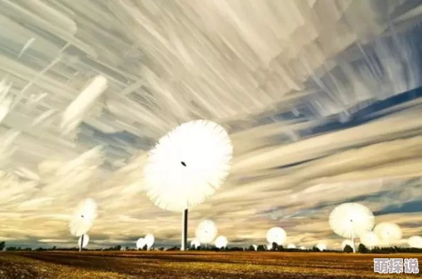 探索成人影片的多样性：18岁以上黄大片中的水多元素与观众心理的深度解析