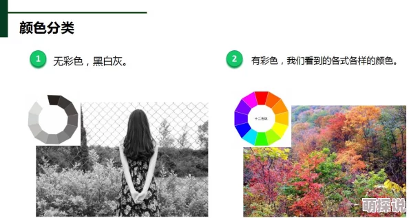 中文字幕ⅴ亚洲日本在线电影：最新动态与观影趋势分析，探讨热门影片及其在观众中的反响和影响力