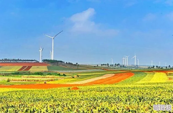 王者荣耀大陆极北地区神秘新英雄即将登场，王者大陆全地图详细一览抢先看