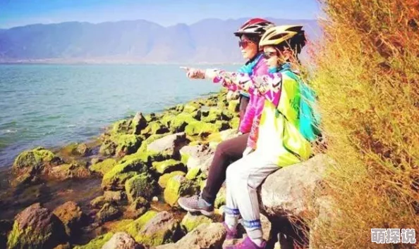 my.72777换哪了?最新动态揭示了平台的重大变革与用户体验的提升,值得关注! my.72777换哪了?最新动态揭示了平台的重大变革与用户体验的提升,值得关注!