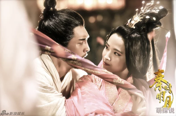 征服武林四个美妇江湖恩怨与女性命运的交织纠葛