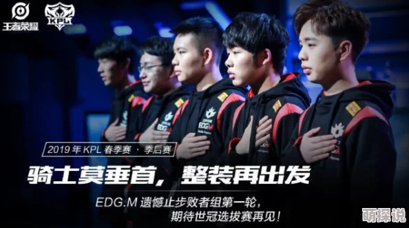 为什么高清流畅更新快久久另类TS人妖一区二区为何资源丰富内容刺激引人入胜