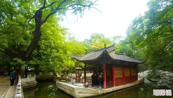 全面解析封神召唤师玩法攻略：深入探索财神殿特色玩法详解指南