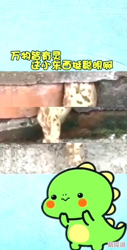 小东西乱喷水你h，真是让人哭笑不得，这种情况居然也能发生！