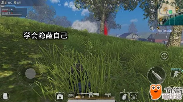 螳螂捕蝉黄雀在后：在光荣使命中策略制胜，巧妙扮演隐秘的黄雀角色