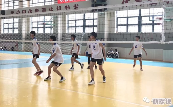 排球网友认为排球是一项充满激情和团队合作的运动，能够锻炼身体素质，同时也能增进朋友之间的感情