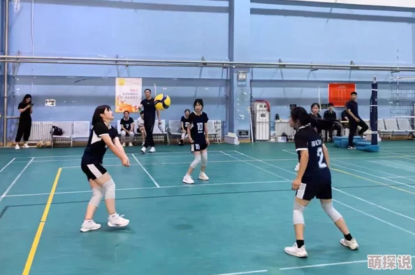 排球网友认为排球是一项充满激情和团队合作的运动，能够锻炼身体素质，同时也能增进朋友之间的感情