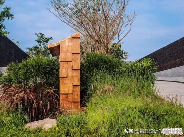 亚洲三级一区网友认为这一现象反映了社会文化的多样性与复杂性，同时也引发了对相关法律法规的讨论和思考
