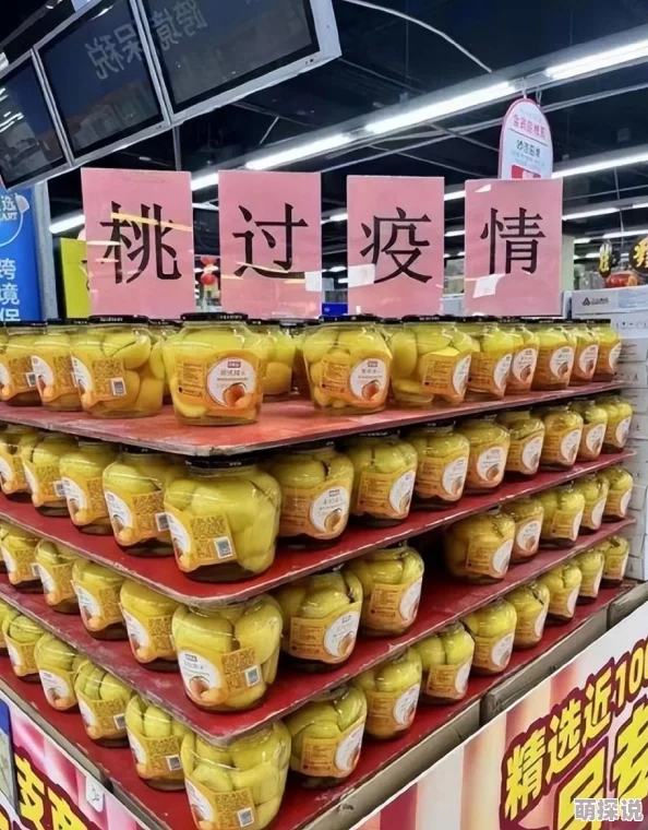魔力宝贝手机版：新手必看！密医副本高效通关攻略全解析