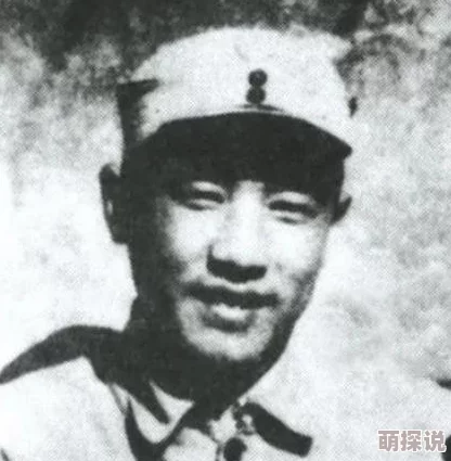 航海王燃烧意志海战深度解析：5大必知注意问题，你全面掌握了吗？