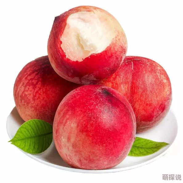 《明日之后》游戏攻略：揭秘医疗人员喜好，打造完美送礼指南