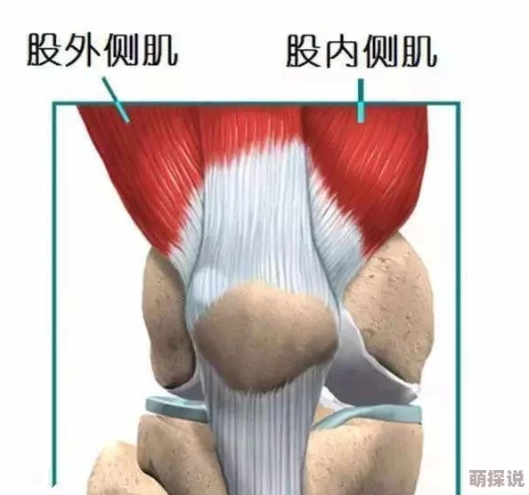 响之轨迹职业选择推荐：深度解析哪个人物好玩，打造专属冒险之旅
