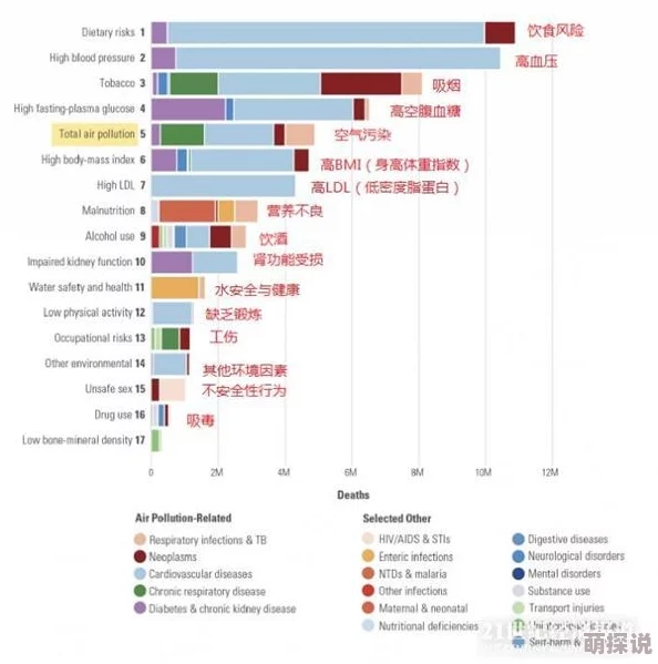 xxxx欧洲最新研究显示欧洲城市的空气质量在过去五年中显著改善，居民健康水平提升。