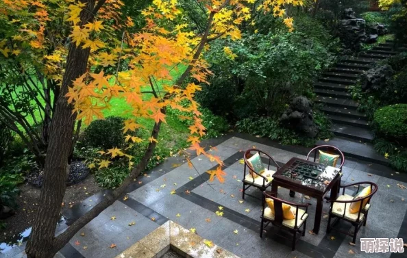 春庭寂十二春庭院深深锁清秋主角开启新旅程踏遍山河寻故人