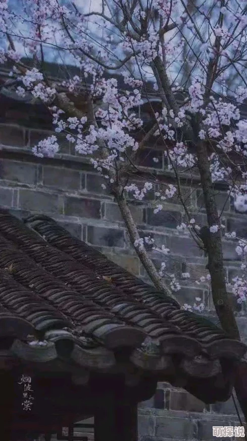 春情acome生活充满希望与美好，每一天都是新的开始，勇敢追求梦想，拥抱阳光与快乐