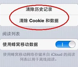 正能量不良网站网站服务器已关闭相关内容正在进一步清理中