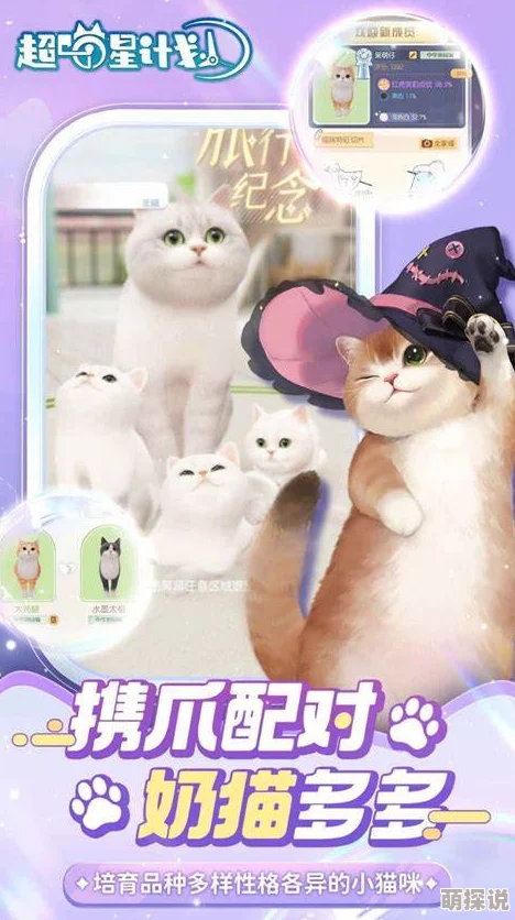耐玩的小猫游戏合集大放送！2024有趣小猫游戏推荐，惊喜新增互动养成新玩法！