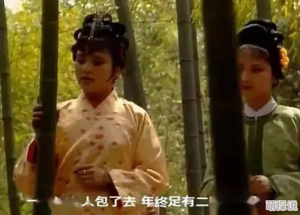 嬷嬷当众调教花魁肉核内容低俗，歪曲历史，物化女性，传播不良价值观，令人不适