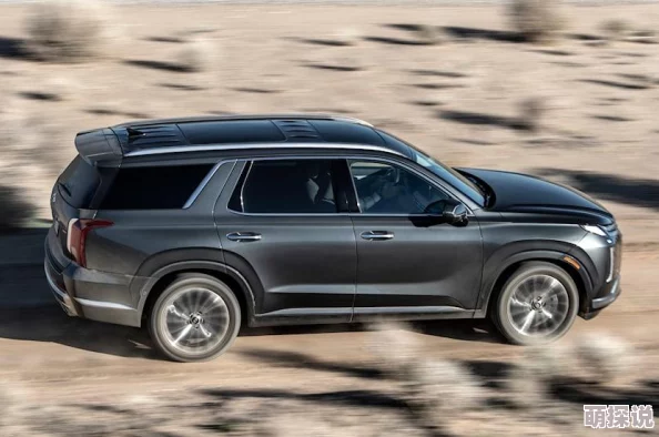 韩国《春天》2025重启版聚焦人工智能与人类共生 韩国《春天》2025重启版聚焦人工智能与人类共生